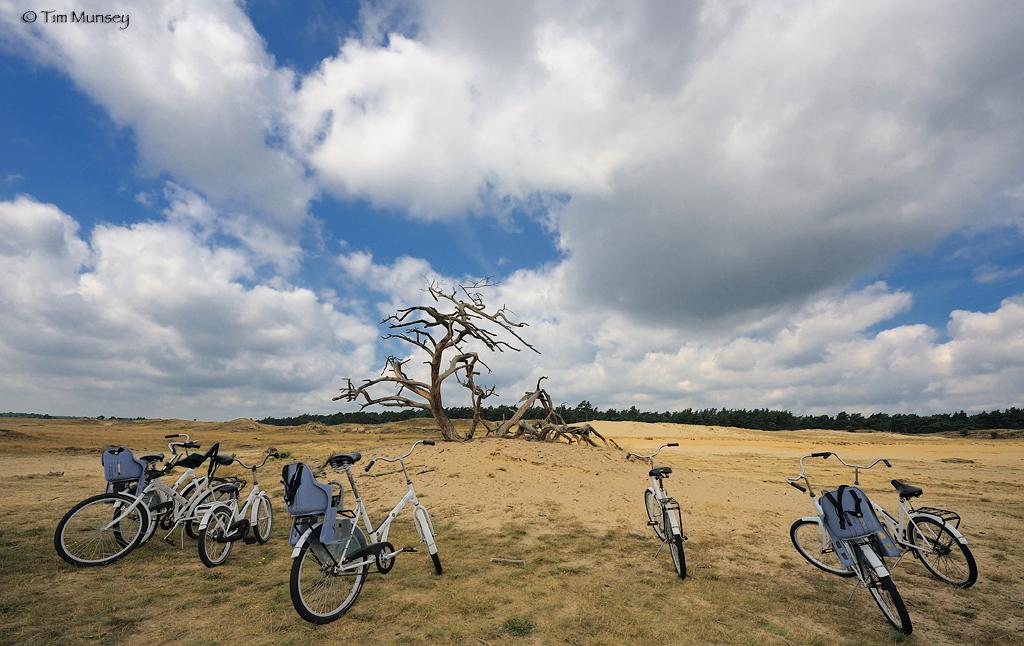 The white bikes of Koller Muller.jpg